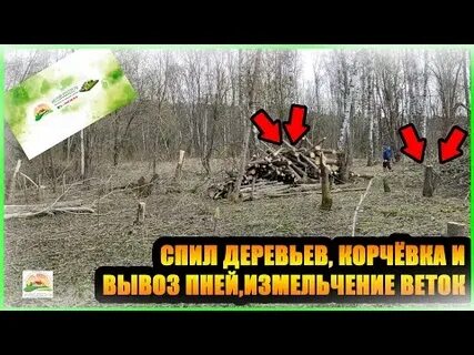Куда вывозить траву