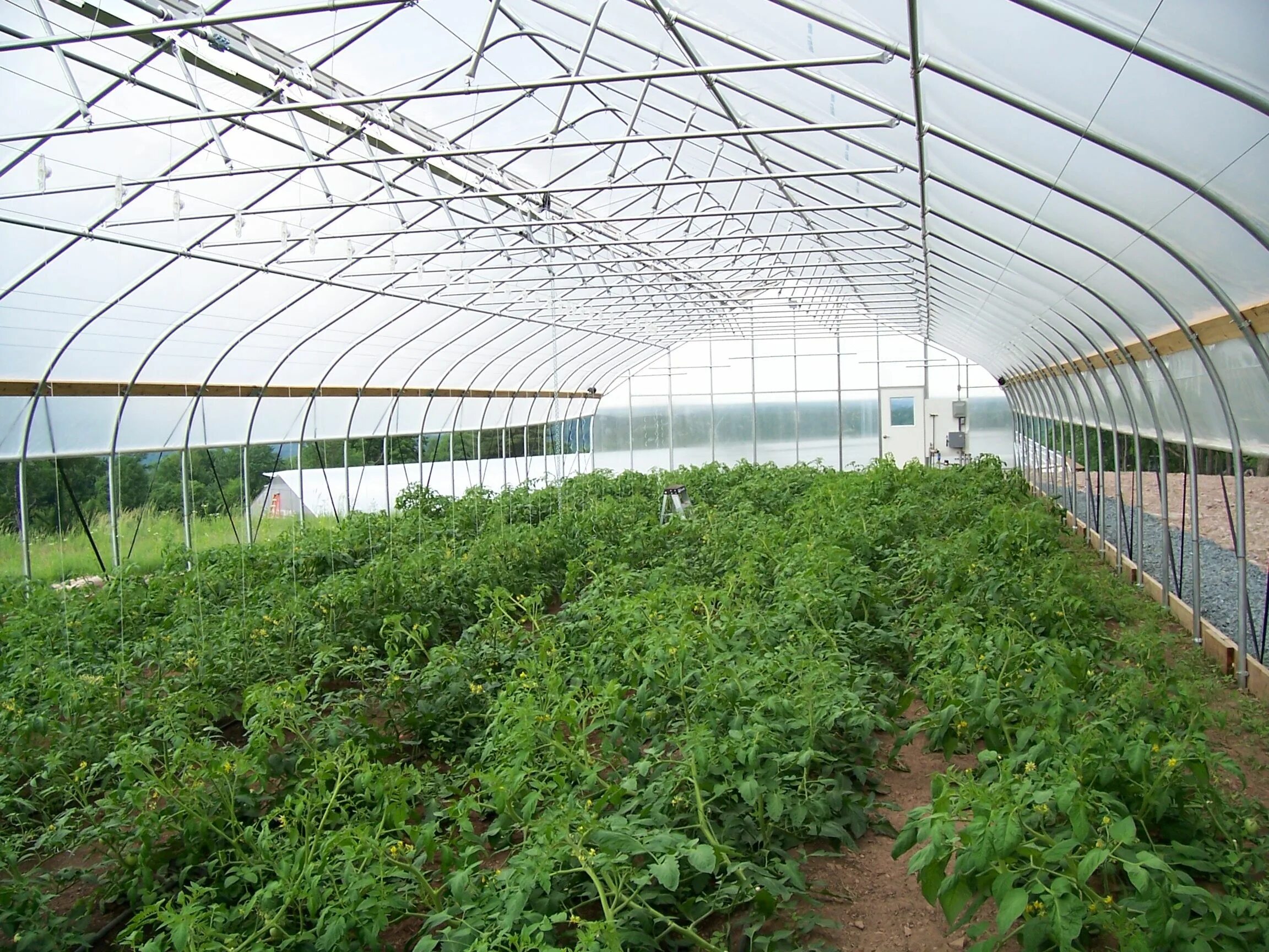 Туннельные теплицы. Туннельная теплица Промышленная Эстетика. Spin Vegetables grow Light tunnel. Modern Spin Light tunnel Vegetables grow. Рейтинг качества теплиц