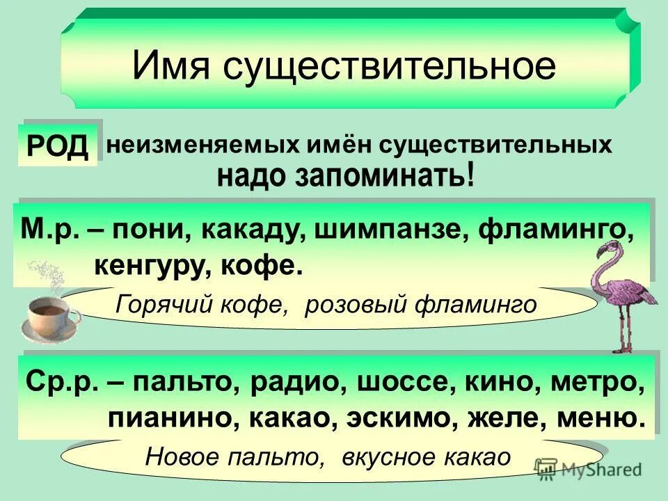 Шимпанзе подходящие по смыслу прилагательные. Род имени существительного. Кенгуру какого рода существительное. Род имен существительных кенгуру. Род имен существительных кафе.