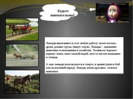 Лошадь это домашнее животное или дикое