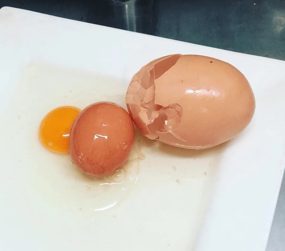 Яйцо. Необычные яйца.