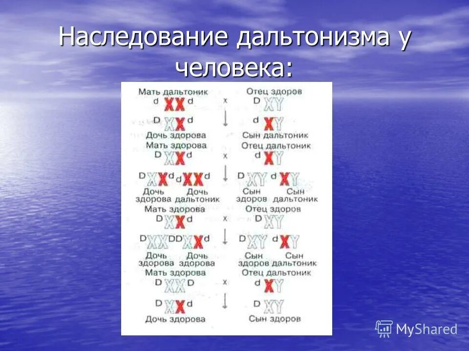 Девушка имеющая нормальное зрение отец которой