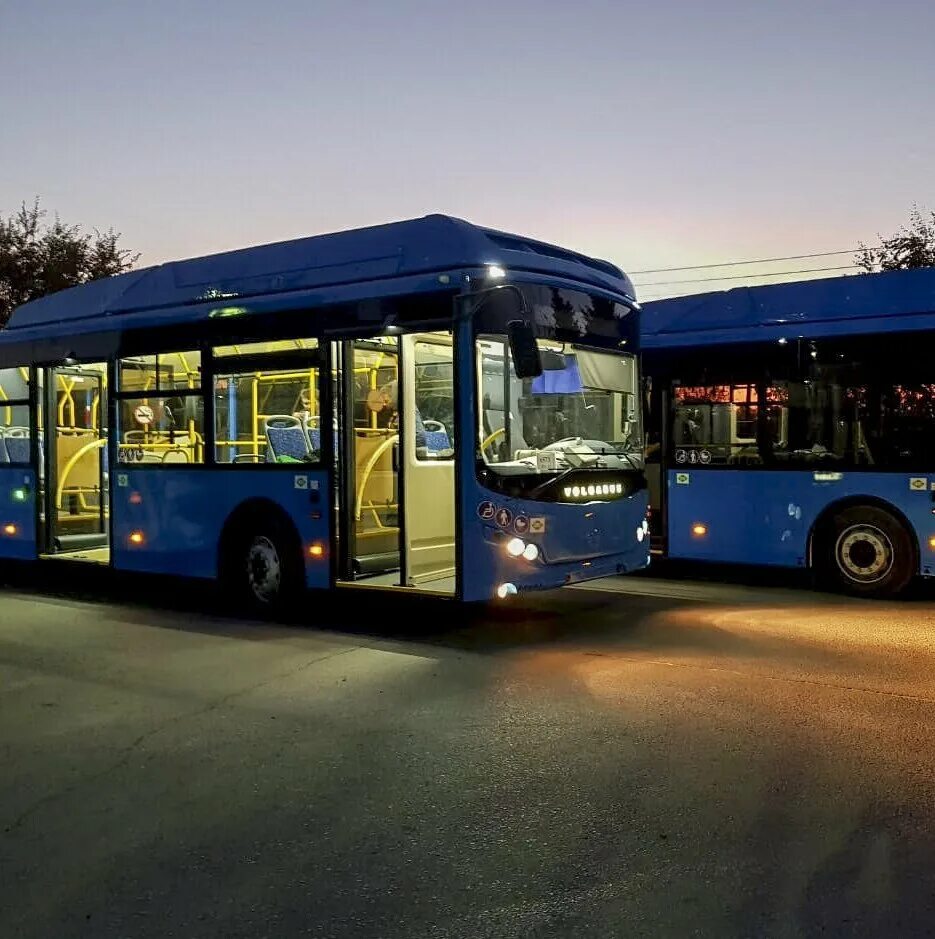 волгабас 5270 питеравто. лиаз 5256 питеравто. питер авто автобусы. новые автобусы. автобусы питеравто.