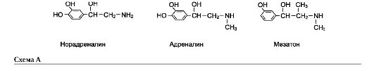 Адреналин мезатон