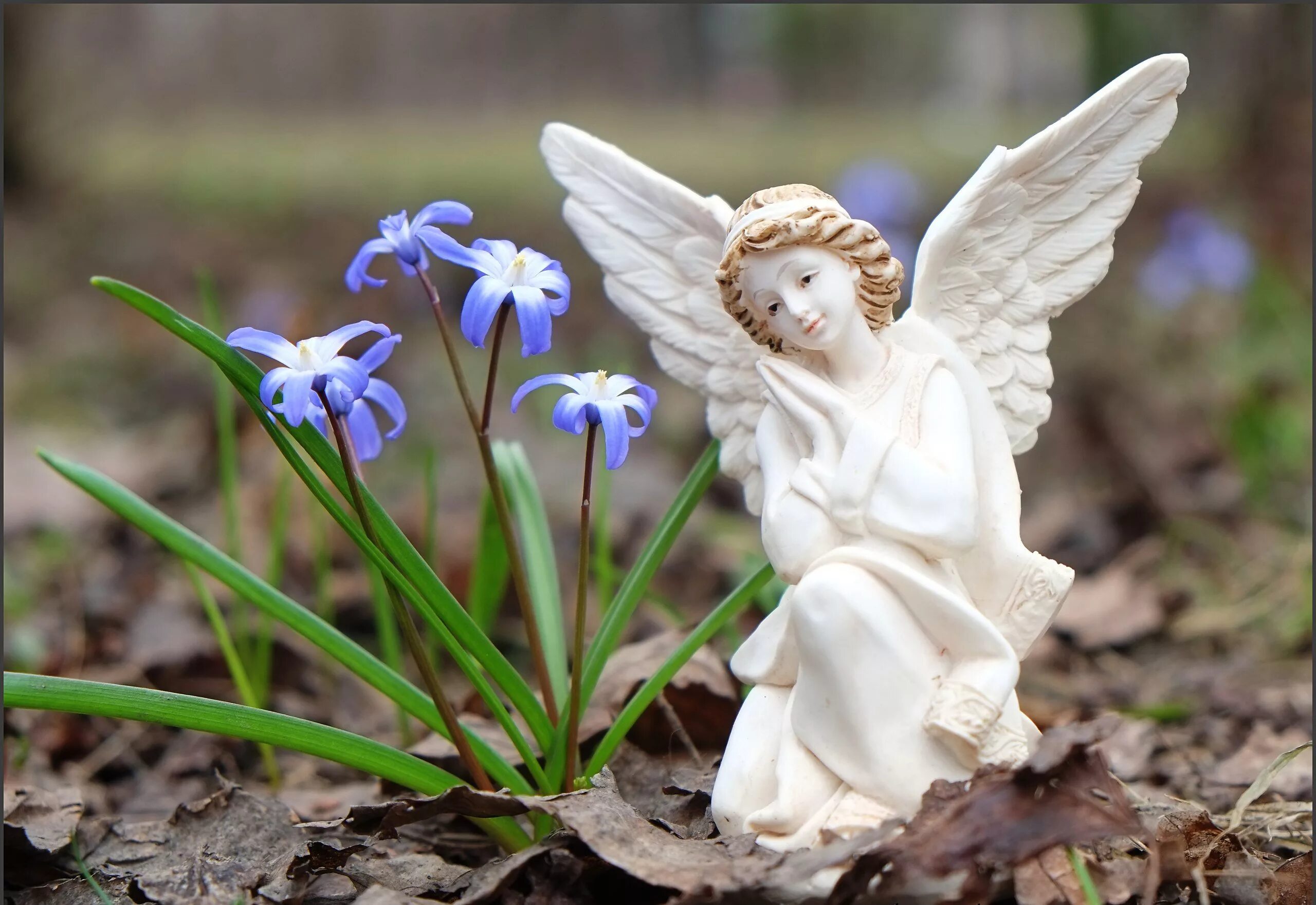 фото доброго ангела