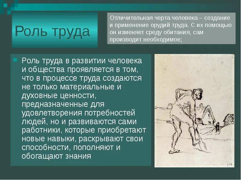 В чем состоит важность домашнего труда какой. Роль труда в процессе формирования человека. Роль труда в развитии человека и общества. Роль труда в эволюции человека. Роль труда в процессе формирования человека Обществознание.