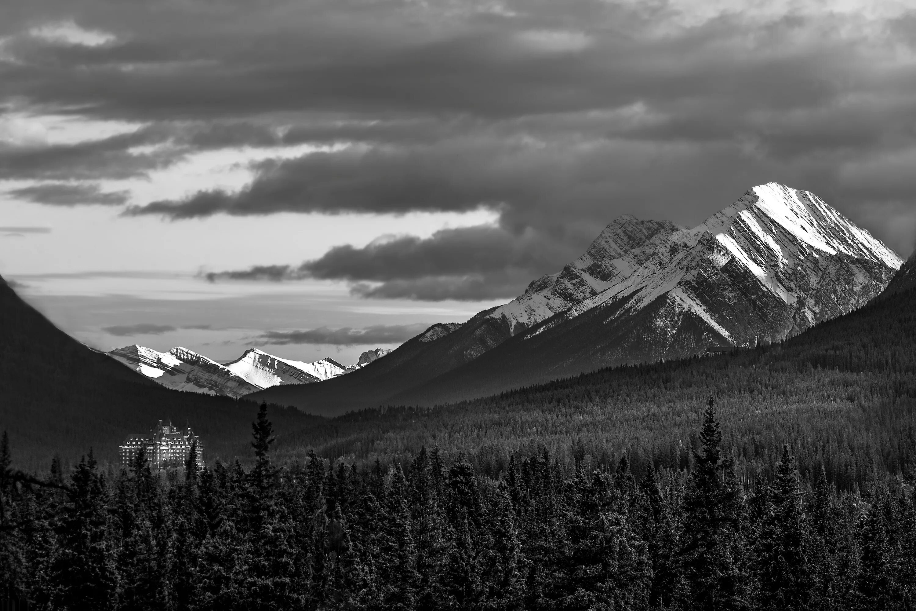 Grayscale