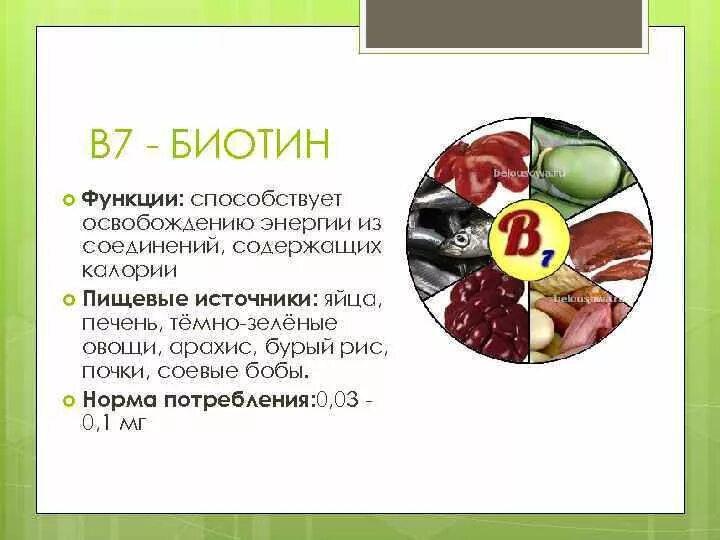 Витамин в 7 в продуктах. Витамин в7 биотин содержится. Основная функция витамина биотин. Биотин витамин н пищевые источники. Витамин н биотин в каких продуктах содержится.