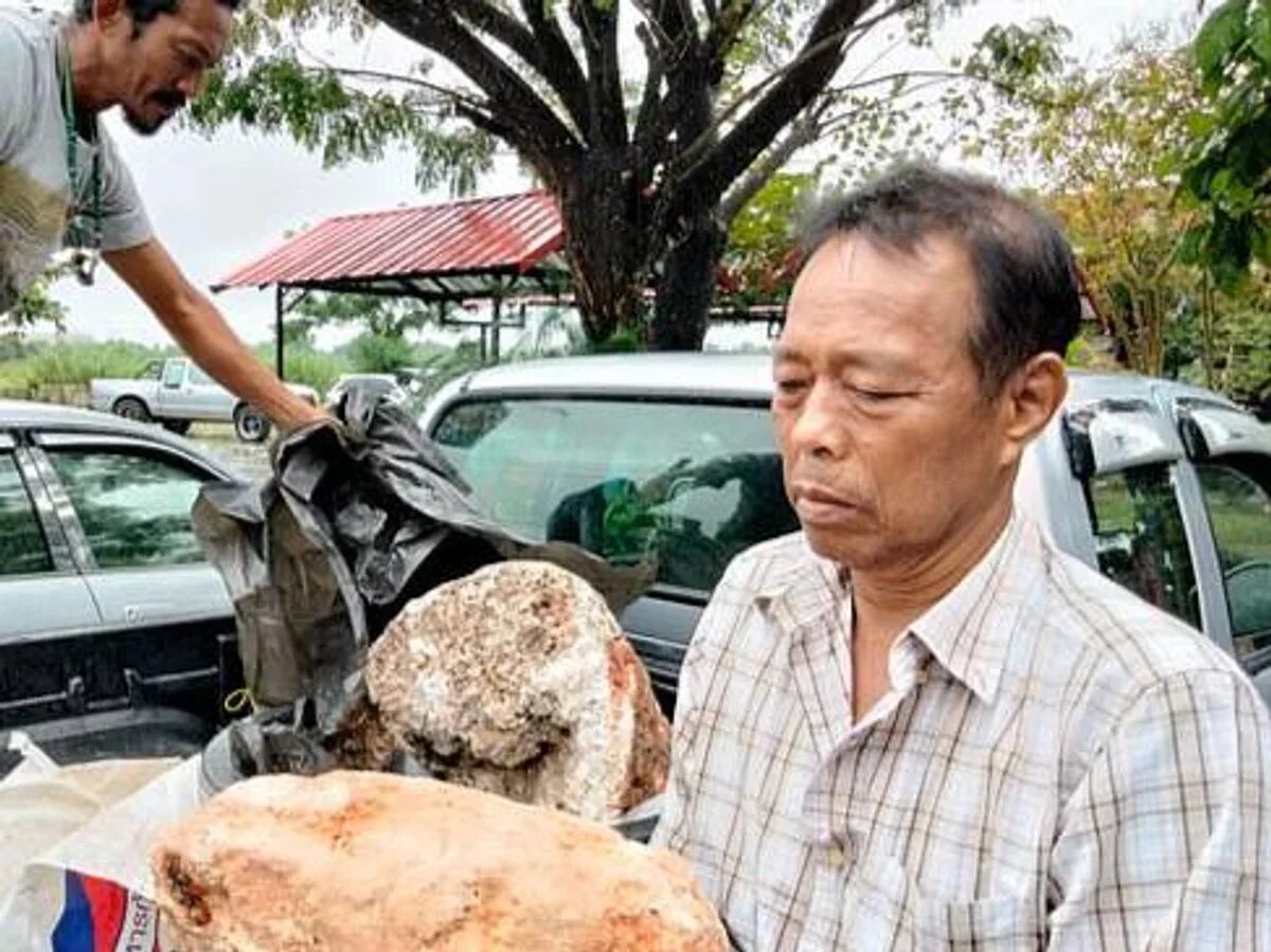 Вырвало кита. Вырвало кита. Вырвало кита. Китовая амбра. Вырвало кита.