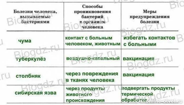 Таблица болезнетворные бактерии. Болезни человека вызываемые бактериями таблица биология 5 класс. Бактерии заболевания 5 класс биология таблица. Болезни вызываемые бактериями 5 класс биология таблица. Таблица по биологии заболевания вызываемые бактериями.