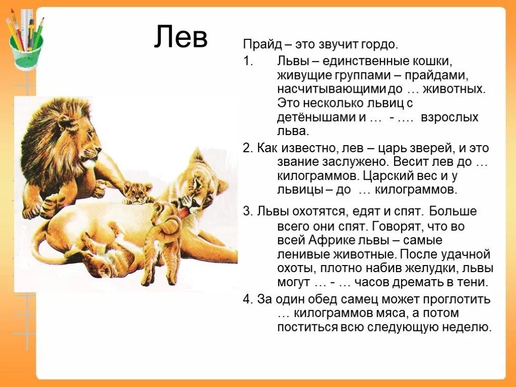 Описать Льва. Рассказать о Льве. Рассказ про Льва. Лев картинки с описанием.