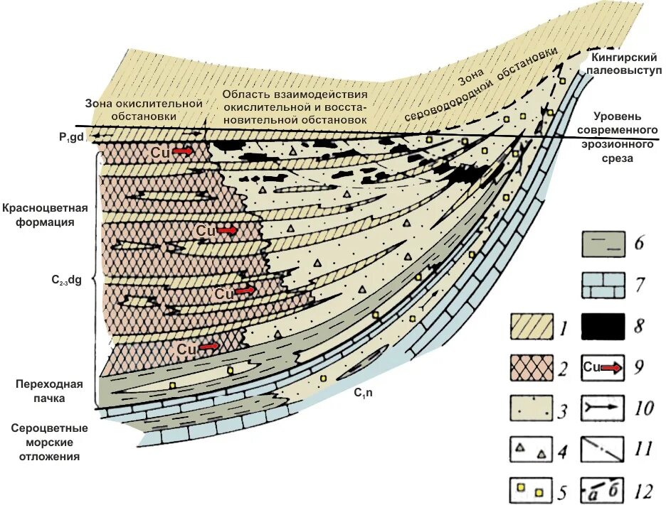 Генезис месторождения. Кузнецкий каменноугольный бассейн схема геологический разрез. Геологический разрез месторождений золота. Тайгинское месторождение разрез. Костомукшское месторождение схема.