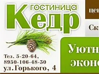 Г кедр