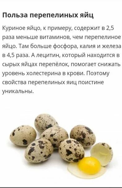 Чем полезно перепелиное яйцо натощак. Пищевая ценность перепелиных яиц 1 шт. категории перепелиных яиц. на что полезно яйцо перепелиное.