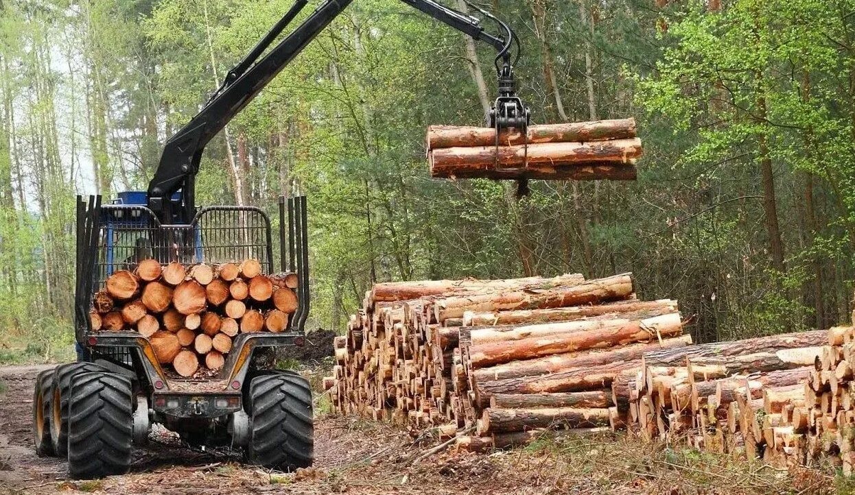 Logging service. Logging service