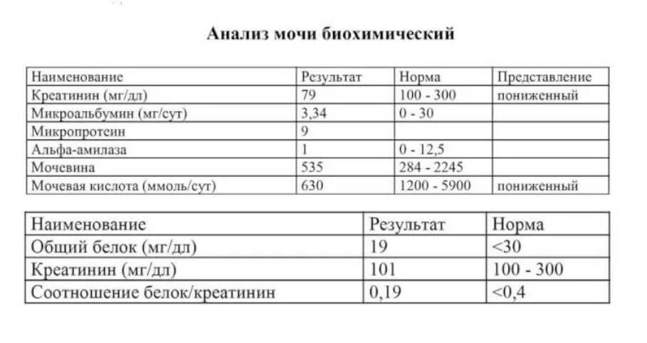 Тест на мочевую кислоту. Биохимия мочи показатели дети норма. Норма биохимического анализа мочи у мужчин таблица. Норма показателей общего анализа мочи у женщин таблица. Биохимический анализ мочи нормальные показатели - таблица.