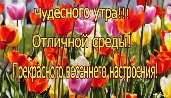 Благословенного весеннего утра и дня