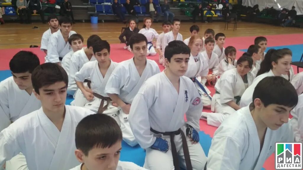 Карате махачкала. Карате хасавюрт. Каратэ кизилюрт. Каратист. Соревнования в махачкале по каратэ вчера.