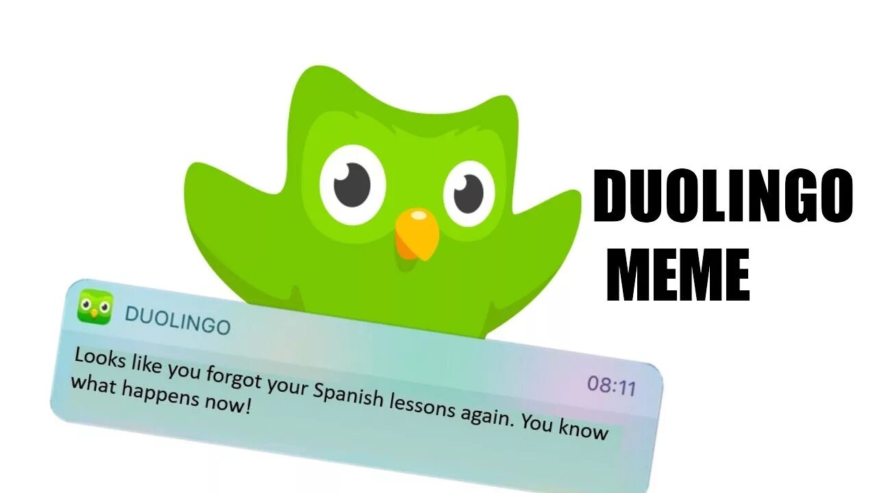 Страшный дуолинго. Duolingo Сова. Duolingo Мем. Мемы с совой Duolingo.