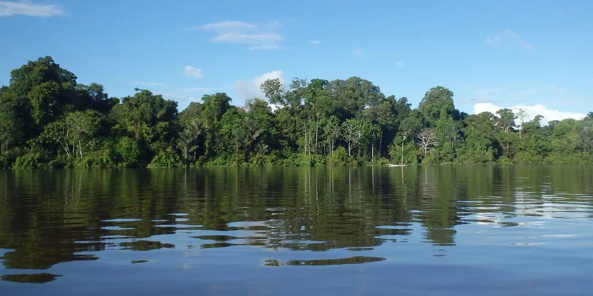 Река на юге страны. Жапура (река). Водные ресурсы Амазонии. Река Какета. Рыбы реки Риу-негру.