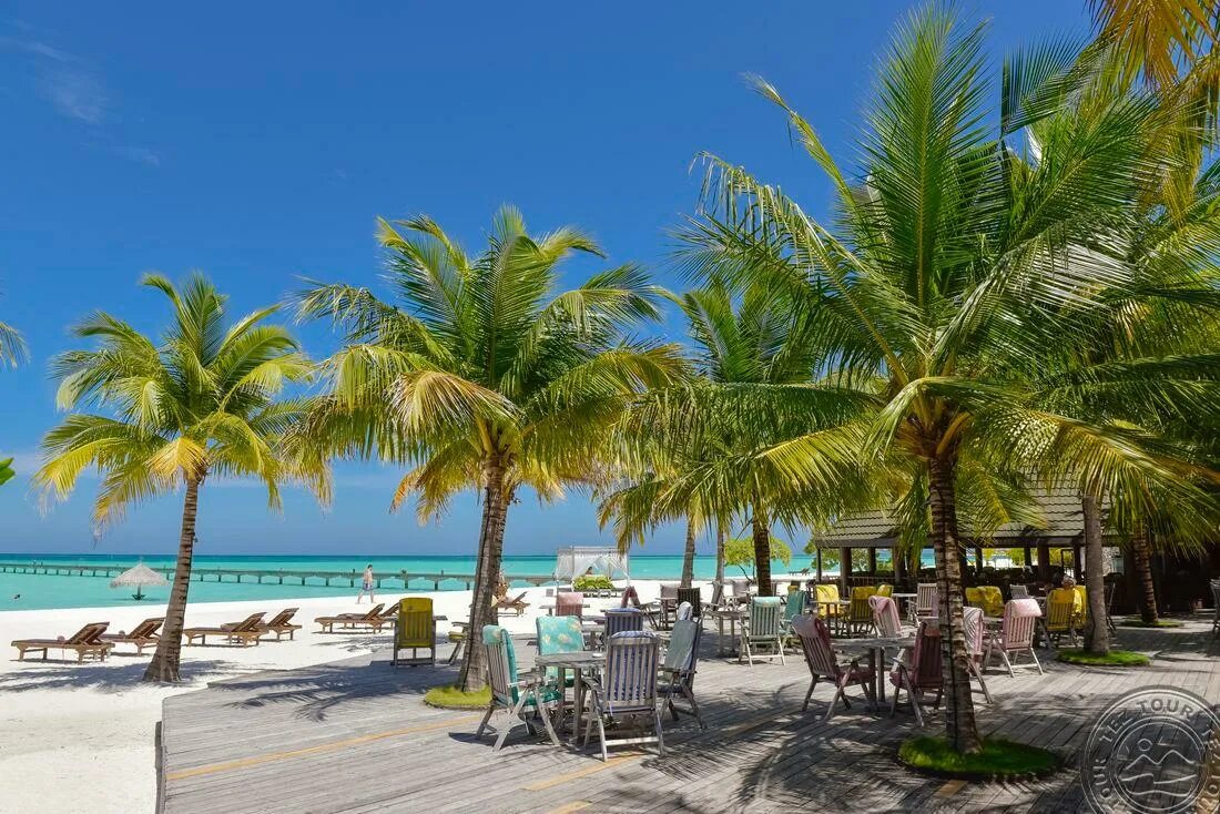 Holidays 17. Лето надпись. Уютные зимние подушки в помещении. День торта тирамису реклама. Ezetil holiday 26 711581.