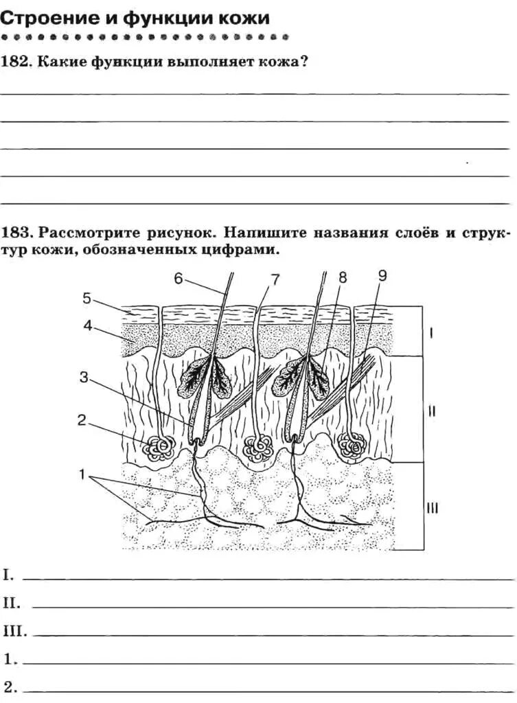 Контрольная работа по биологии покровы тела. Строение кожи биология 8 класс Сонин. Строение кожи 8 класс по биологии. Рисунок строение кожи 8 класс биология. Рабочая тетрадь биология 8 класс строение кожи.