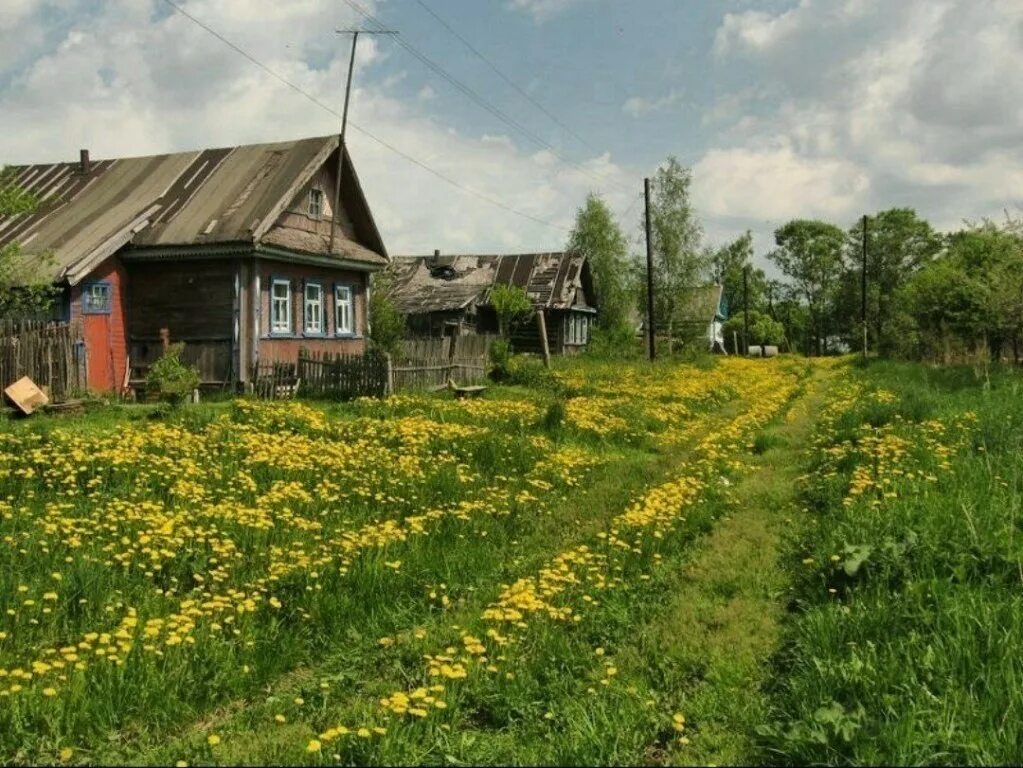 Деревня Вахонино. Деревенский домик. Деревня летом. Деревенский пейзаж. Деревенский замечать