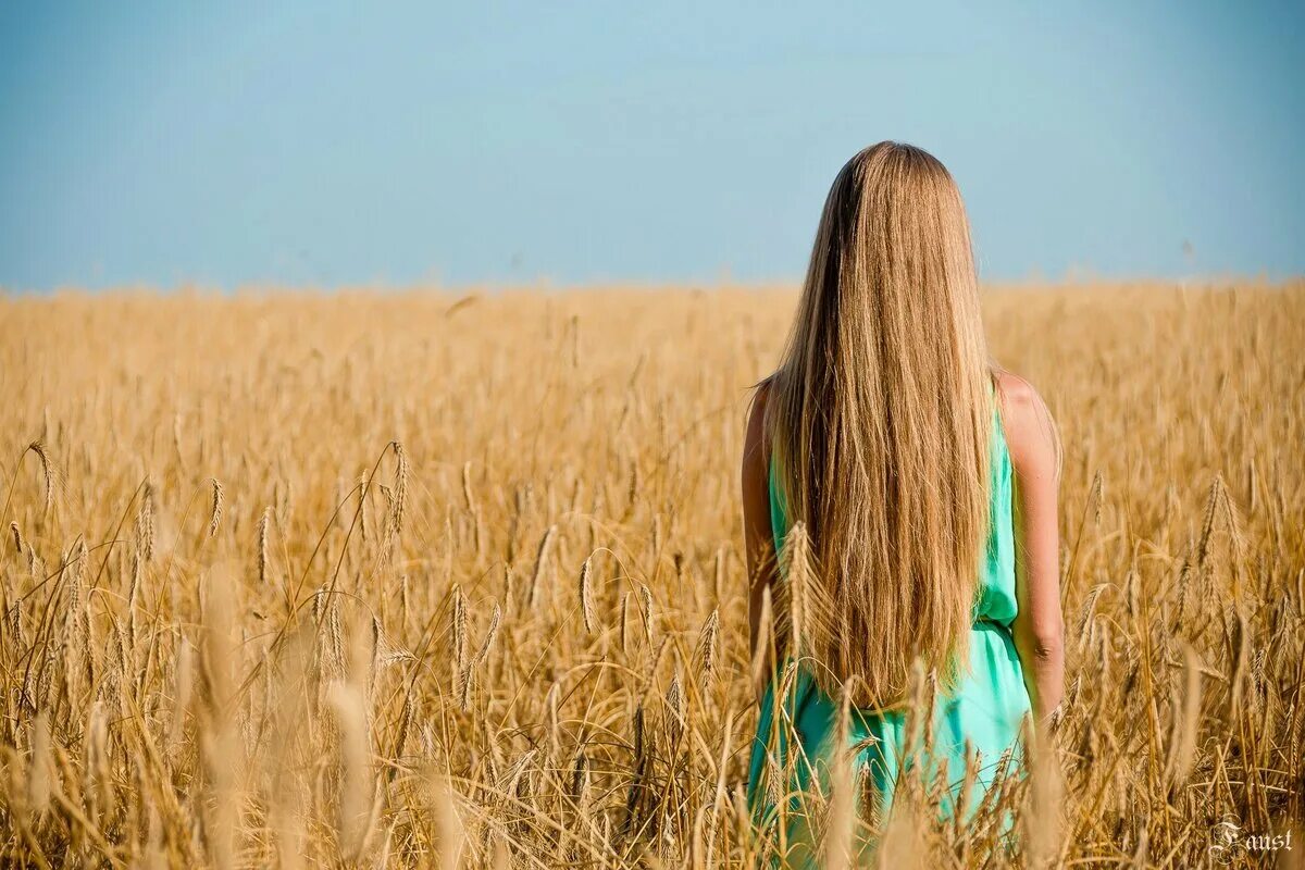 Пшеничные глаза. Девушка с длинными волосами в поле. Девушка с пшеничными волосами. Русые волосы у девушек. Девочка с пшеничными волосами.