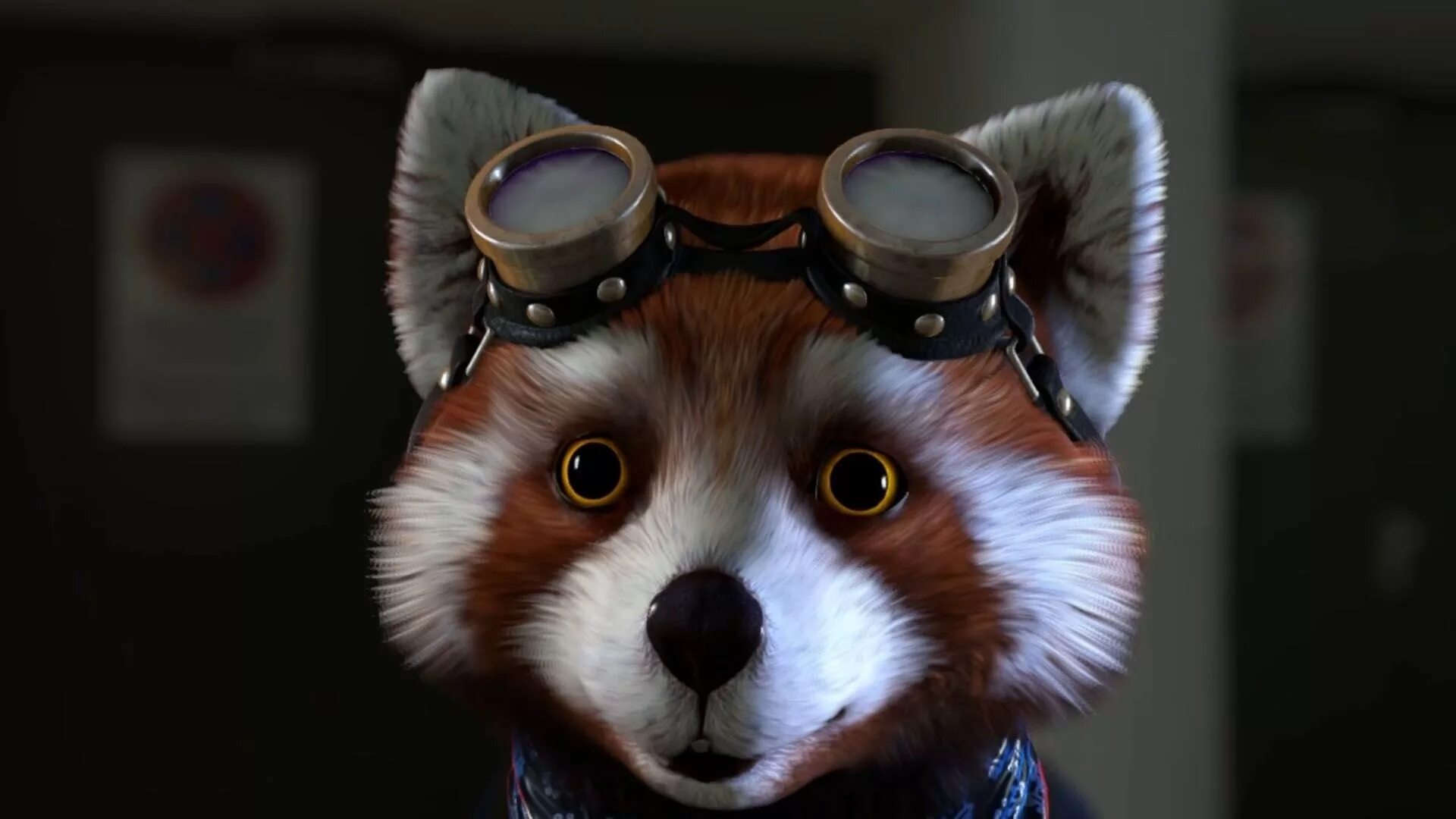 Говорящий енот. Facerig енот. аватар енот. енот в очках. игра про енота.