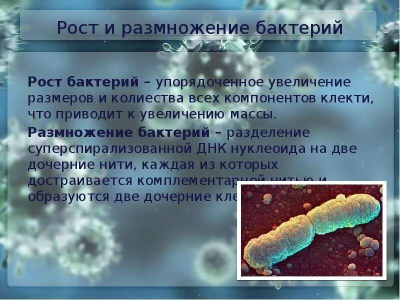 Какими способами можно задержать развитие микробов