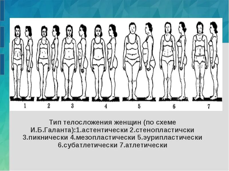 Среднее строение тела. Конституция тела человека соматотип. конституциональные типы телосложения. типы телосложения у женщин. эктоморфный тип телосложения.