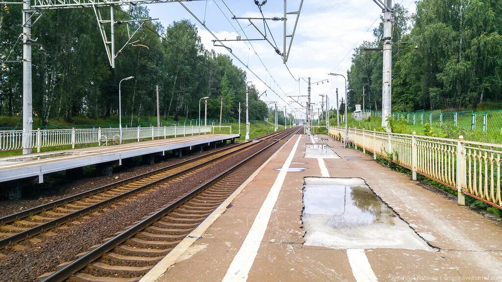 Жд станция березки дачные. Жд поварово 1. Берёзки дачные подсолнечная. Жд станция березки дачные как перейти. Табличка станции ржд.