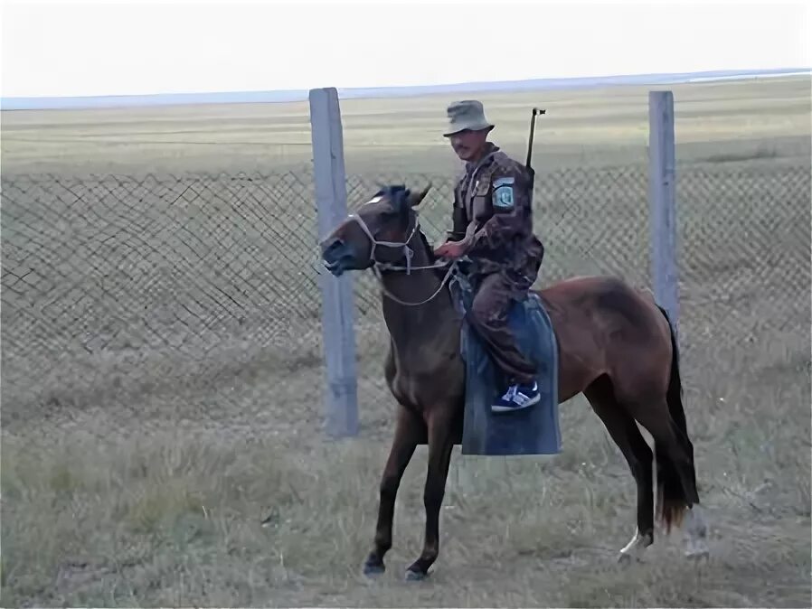 Погода в кулусутае. Кулусутай Забайкальский край. Дурулгуй Ононский район. Красная Ималка Ононский район. Село Кулусутай, Ононский район, Забайкальский край.