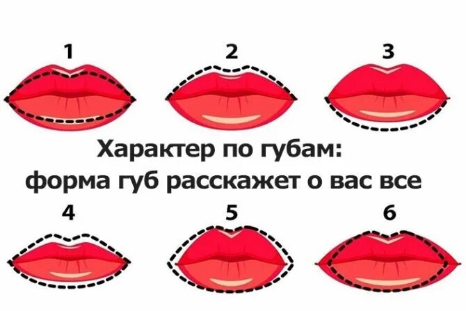 Губы мужчины характеристика. Формы губ. Форма губ и характер. Формы женских губ. Характер человека по форме губ.