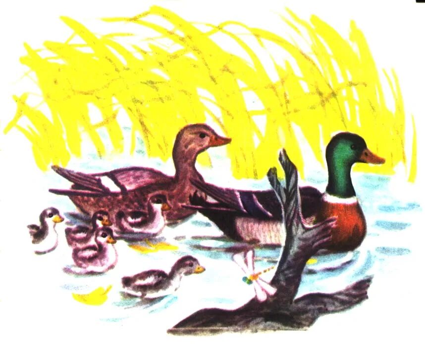 Кряксы даксы