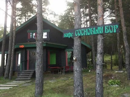 Бор бар сосновый бор меню