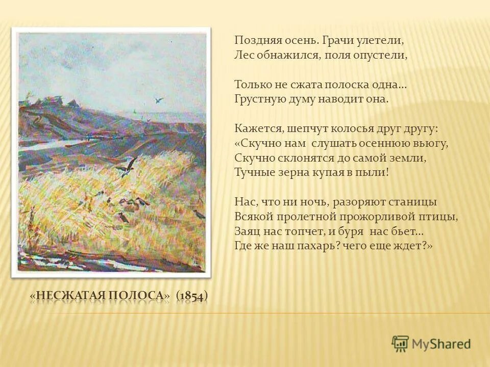 Лес обнажился поля опустели. Некрасов несжатая полоска. поздняя осень грачи улетели. поздняя осень грачи улетели лес обнажился поля. поздняя осень грачи улетели стих.