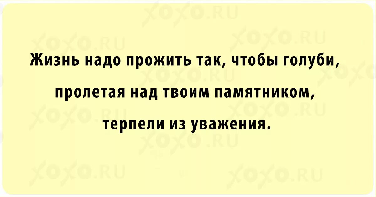 Жить надо прожить. Жить нужно так чтобы голуби Пролетая над твоим. Жизнь надо прожить так чтобы голуби Пролетая над твоим памятником. Жизнь надо прожить. Нужно прожить жизнь так чтобы голуби терпели.