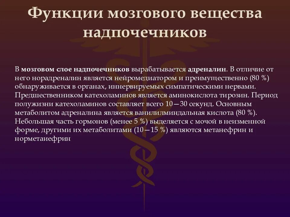 Мозговой слой функции. Дополнительные методы исследования опухолей головного мозга. Гормоны мозгового слоя надпочечников функции. Мозговой слой функции. Мозговой слой функции.