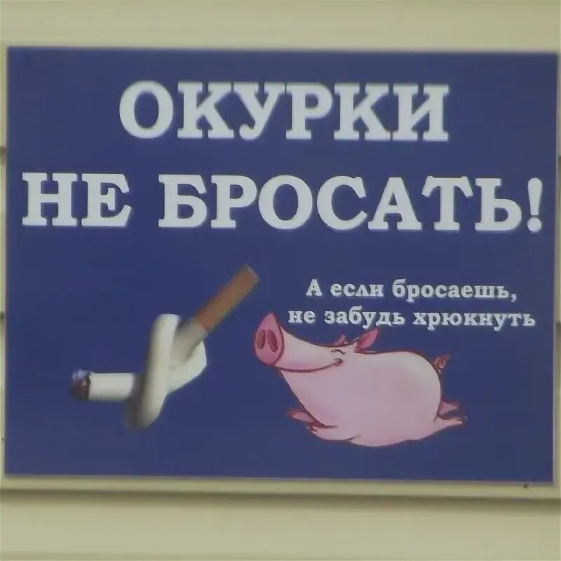 Перестань кидать. Для окурков табличка. Окурки не бросать табличка. Бросая окурок не забудь хрюкнуть. Плакат чтоб не бросали бычки.