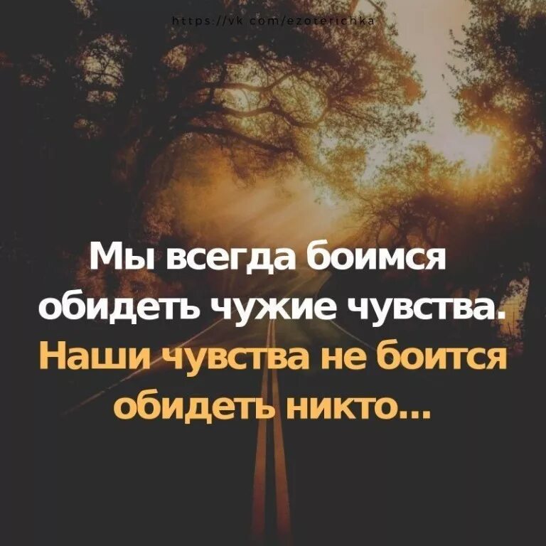 Господь бог всегда рядом. Силу всегда боялись. Афоризмы про глупых людей. Всегда чего то боимся. Котик боится.