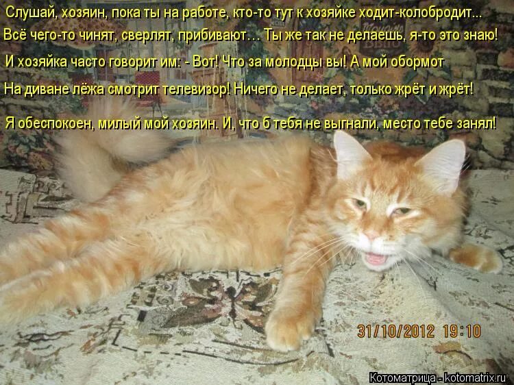 пока хозяин на работе. уработался прикол. пока хозяин на работе. колобродить значение. слушаю мой хозяин.