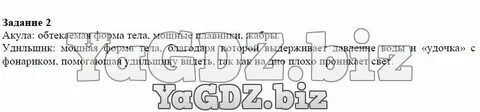 Объясните какие приспособления