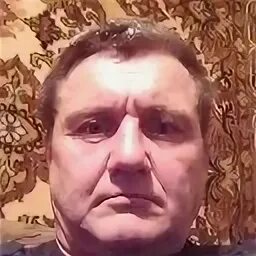 Толи медведь толи