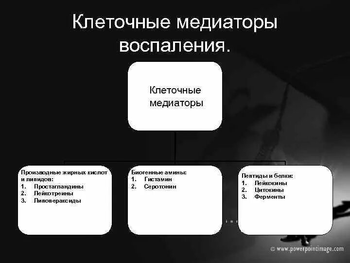 Клеточные медиаторы воспаления. Медиаторы воспаления таблица. Медиаторы воспаления цитокины. Медиаторы воспаления производные. Классификация медиаторов воспаления патофизиология.