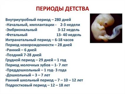 Развитие плода 33 недели беременности