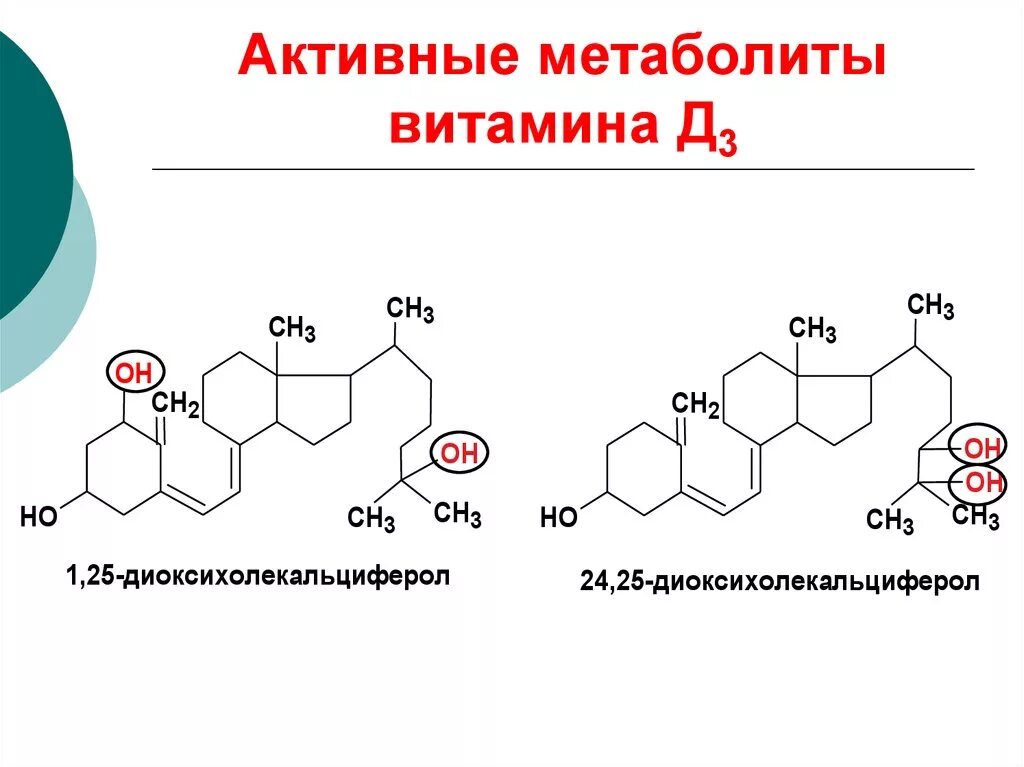 25 он д3. Активные формы витамина d3:. Метаболиты витамина д3. Активная форма витамина д3. Активная форма витамина d.