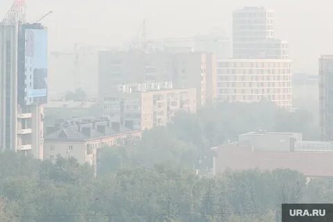 Московская область дым