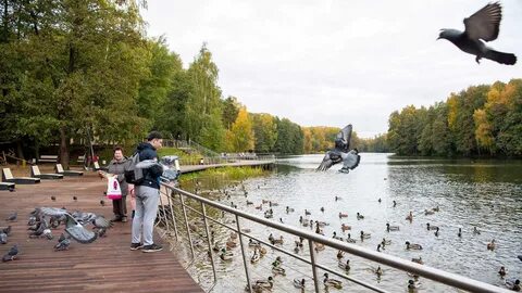 Топ подмосковья