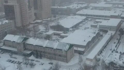 Семьи шамшиных больница